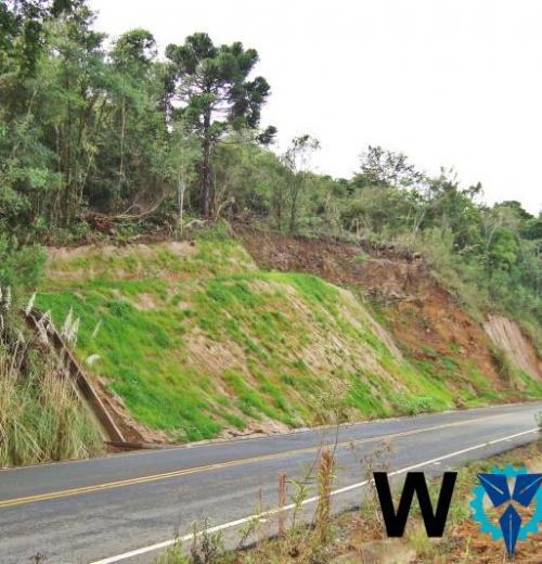 Serviço de solo grampeado verde